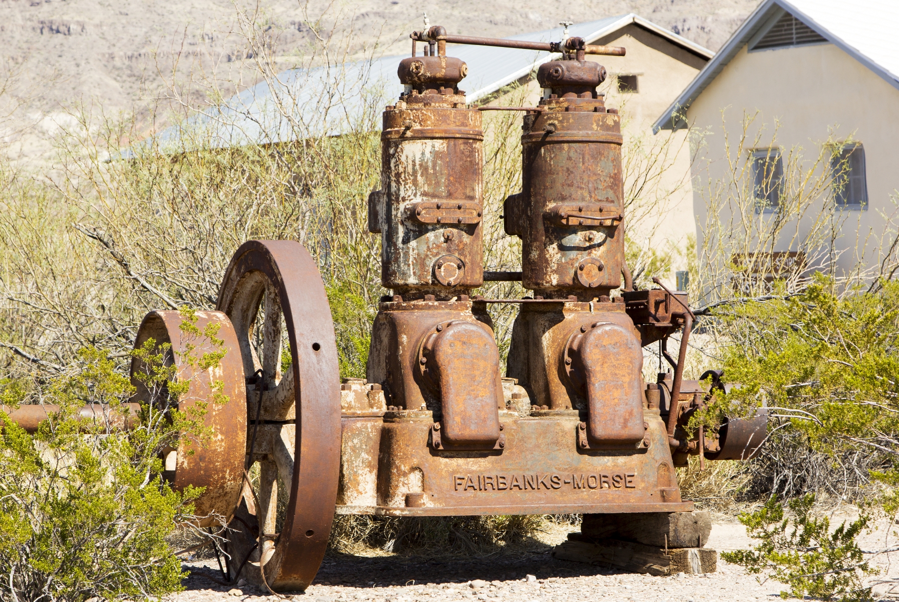 Big Bend National Park March 4, 2017